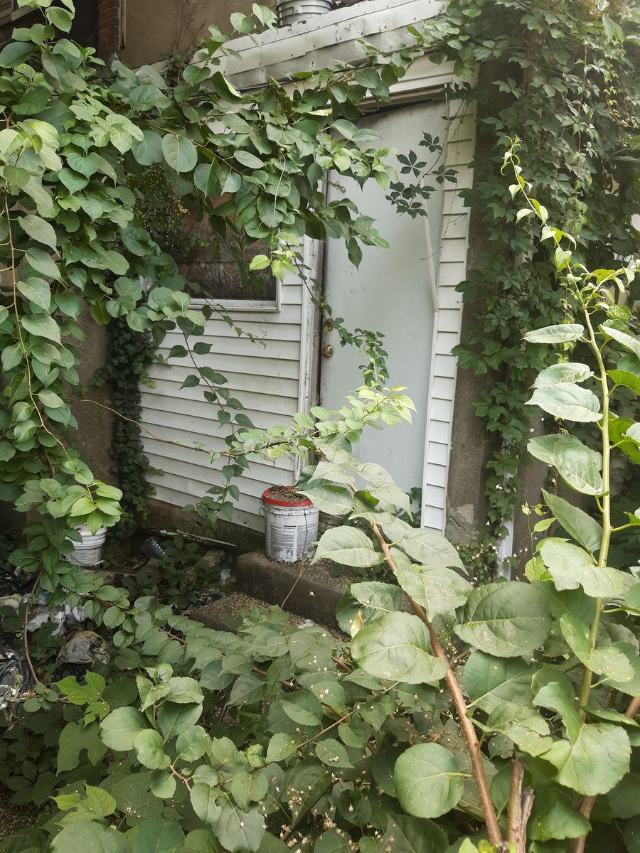 Photographic documentation of the work as submitted to the city's 311 record.