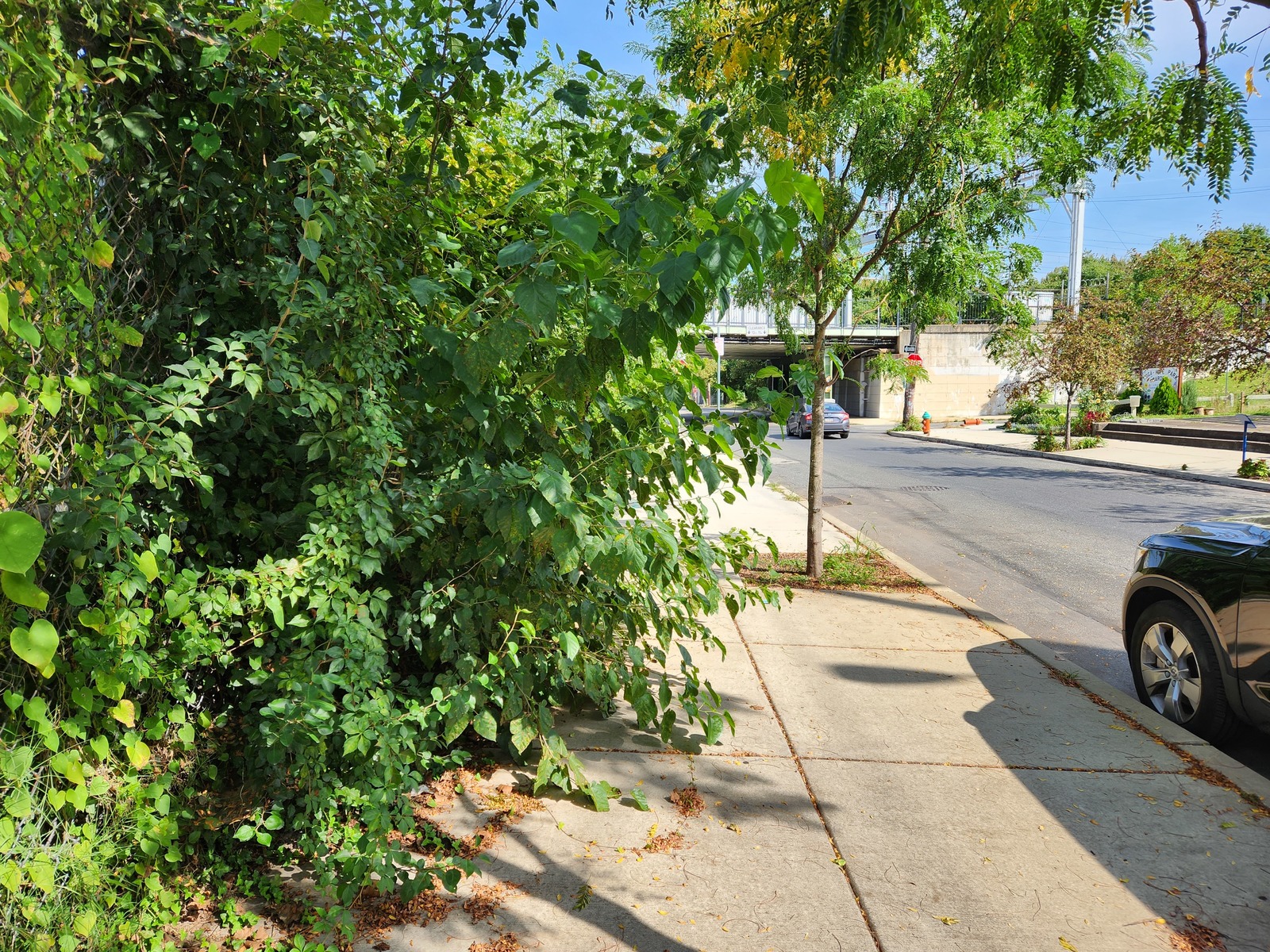 Photographic documentation of the work as submitted to the city's 311 record.