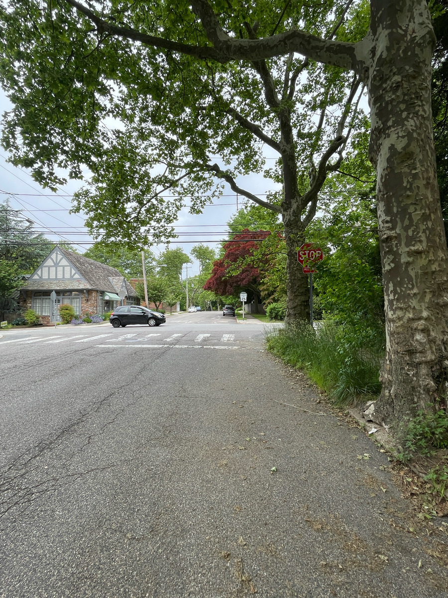 Photographic documentation of the work as submitted to the city's 311 record.
