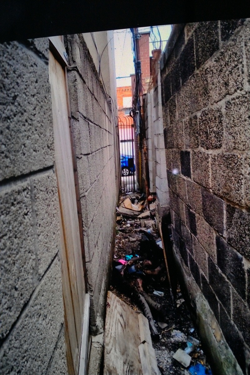 Photographic documentation of the work as submitted to the city's 311 record.