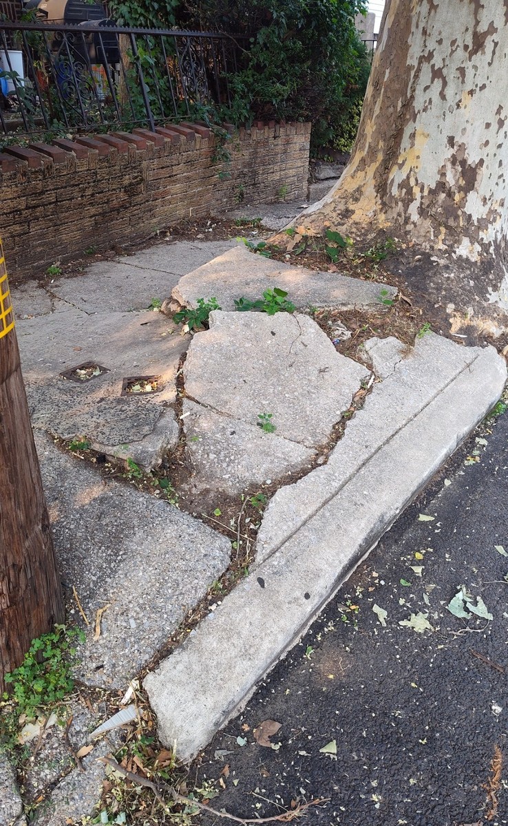 Documentation of Untitled (Street Trees) — Overbrook, as submitted to Philadelphia 311.