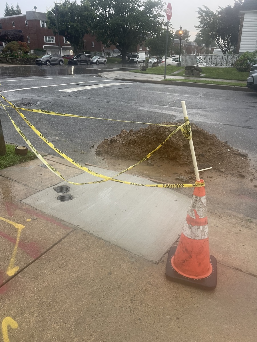 Photographic documentation of the work as submitted to the city's 311 record.