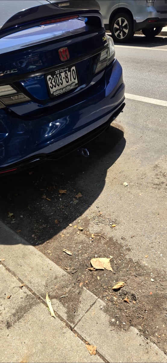 Photographic documentation of the work as submitted to the city's 311 record.