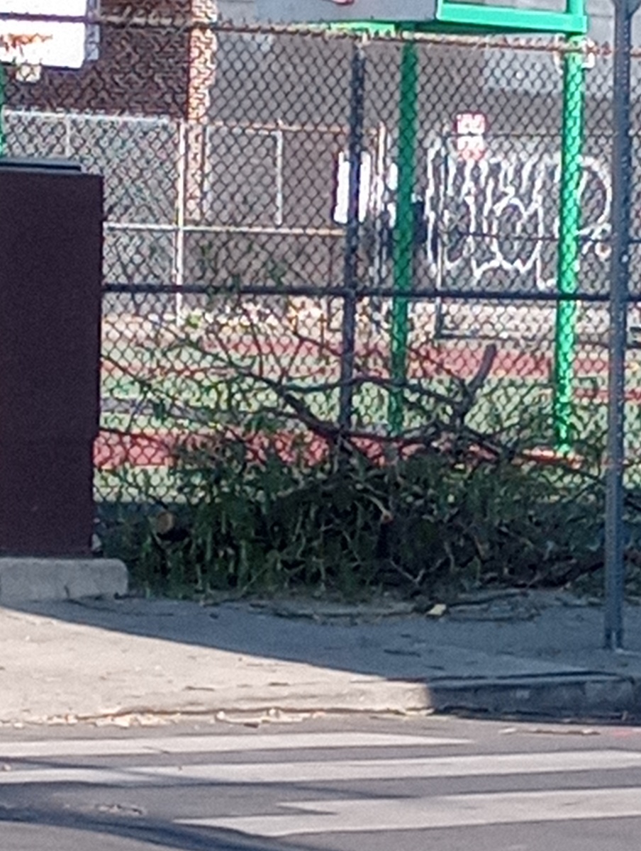 Photographic documentation of the work as submitted to the city's 311 record.