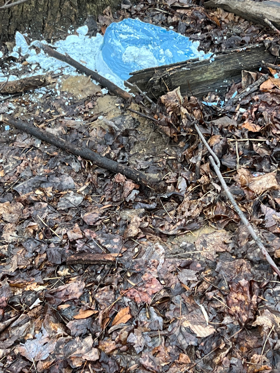Photographic documentation of the work as submitted to the city's 311 record.