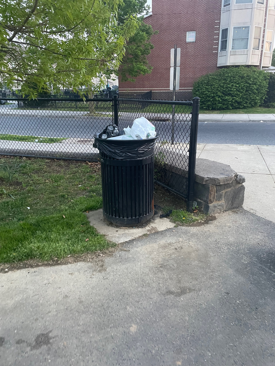 Photographic documentation of the work as submitted to the city's 311 record.