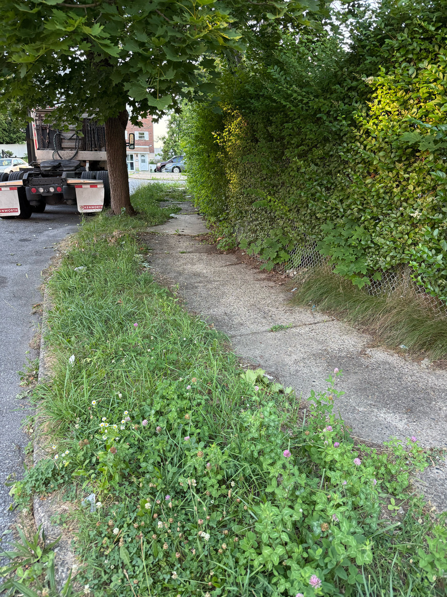 Photographic documentation of the work as submitted to the city's 311 record.