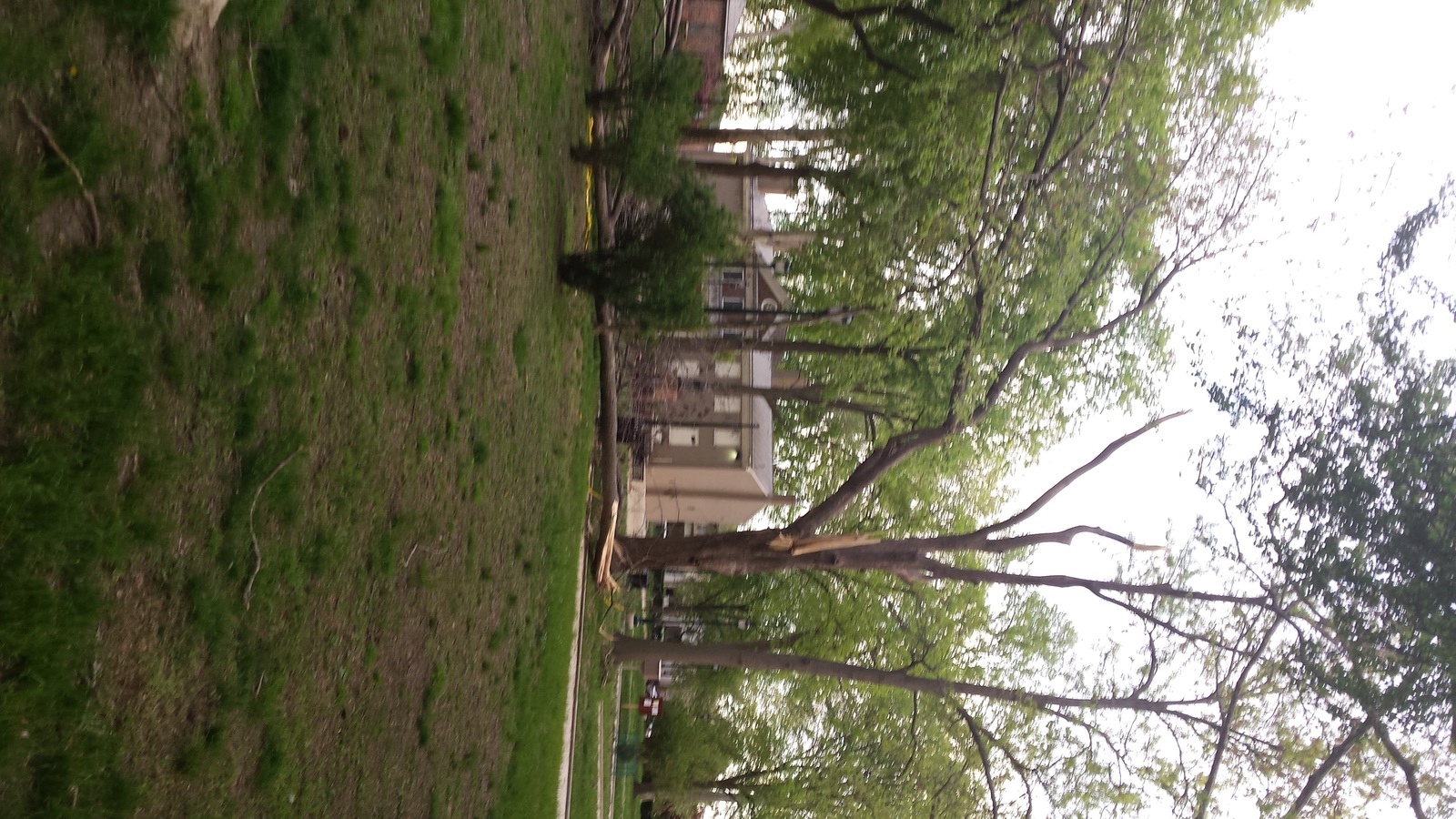 Photographic documentation of the work as submitted to the city's 311 record.