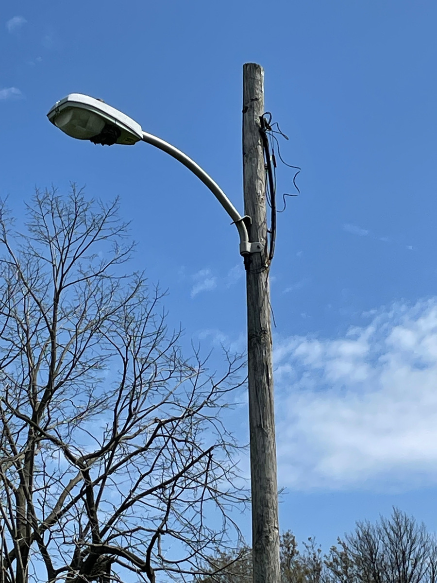 Photographic documentation of the work as submitted to the city's 311 record.