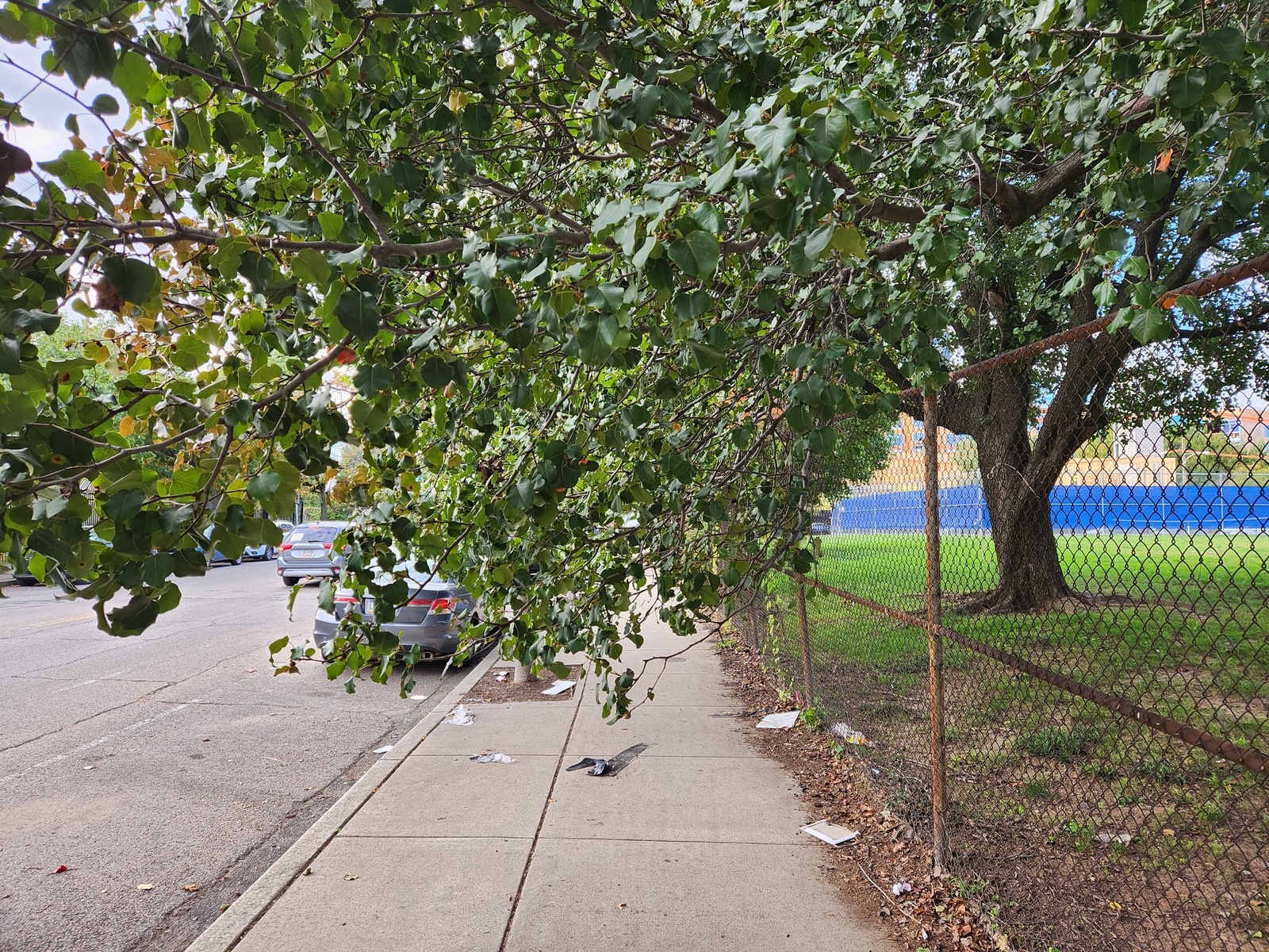Photographic documentation of the work as submitted to the city's 311 record.