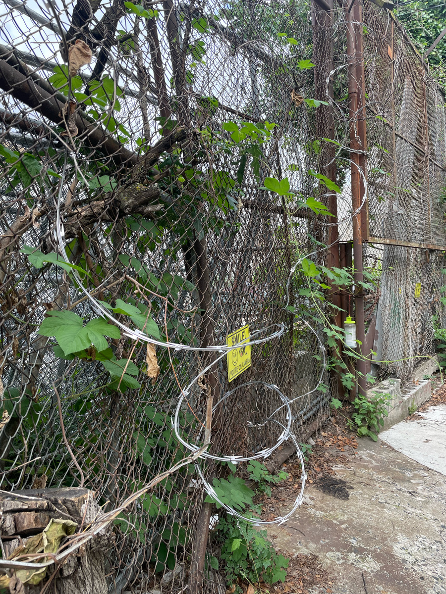 Photographic documentation of the work as submitted to the city's 311 record.