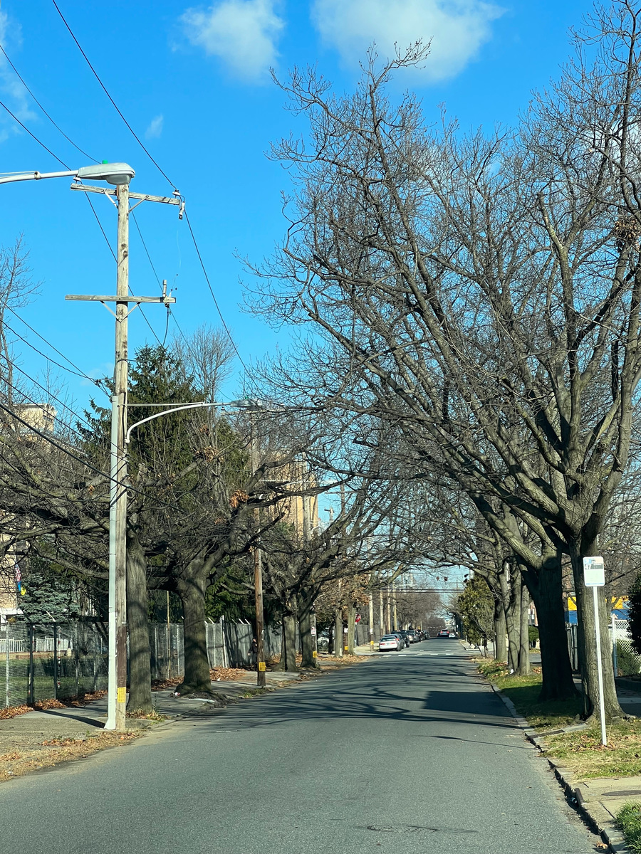 Photographic documentation of the work as submitted to the city's 311 record.