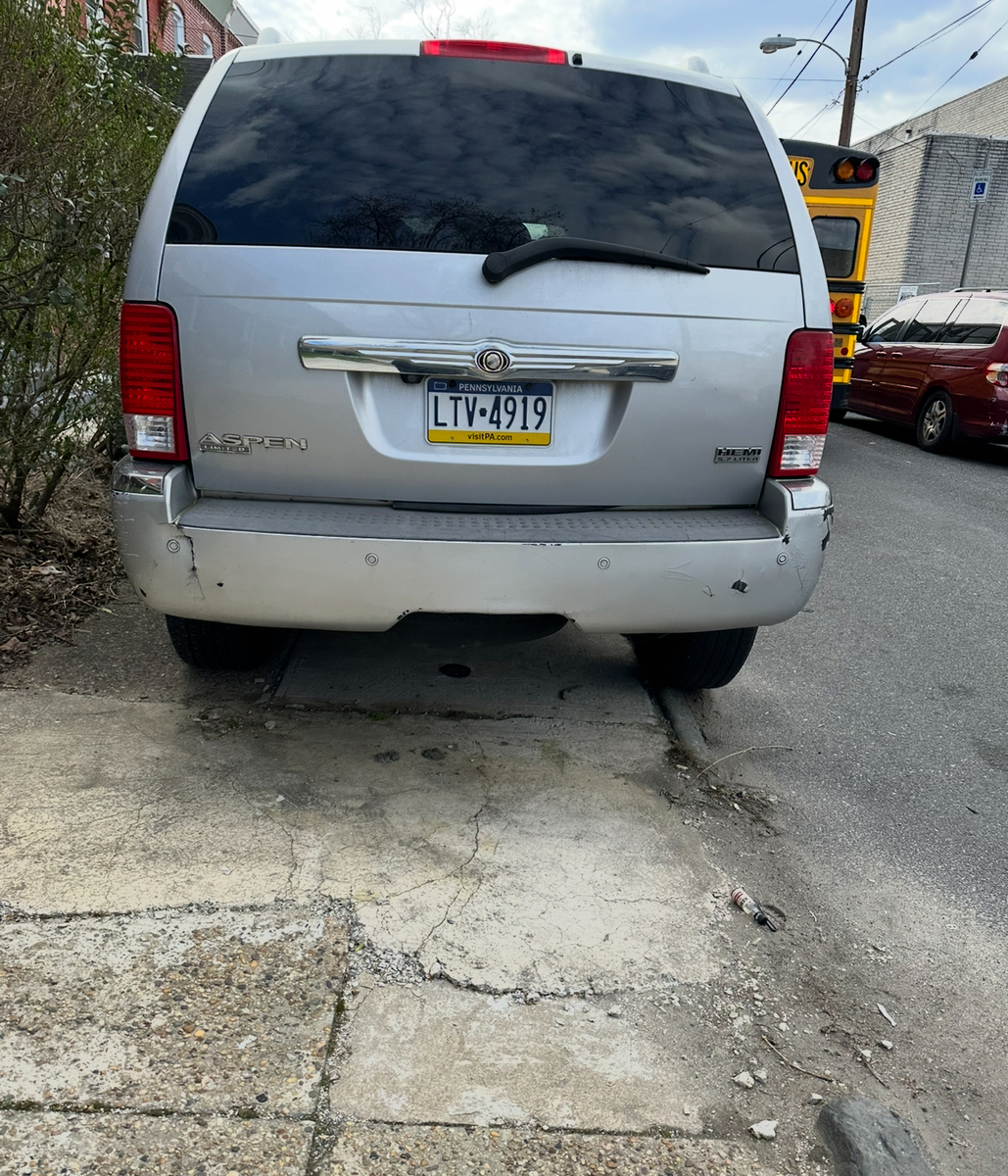 Photographic documentation of the work as submitted to the city's 311 record.