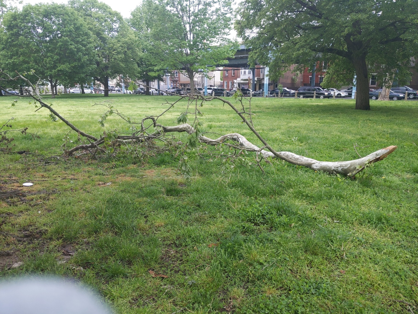 Photographic documentation of the work as submitted to the city's 311 record.