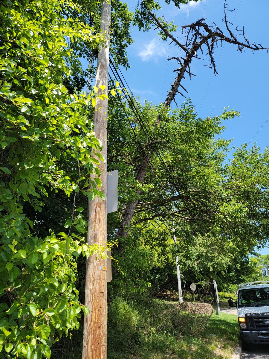 Photographic documentation of the work as submitted to the city's 311 record.