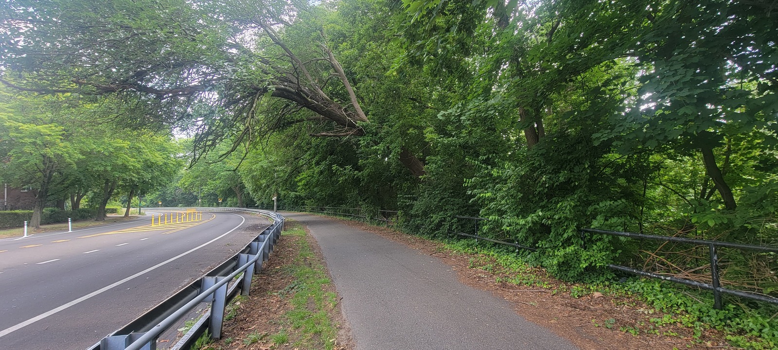 Photographic documentation of the work as submitted to the city's 311 record.