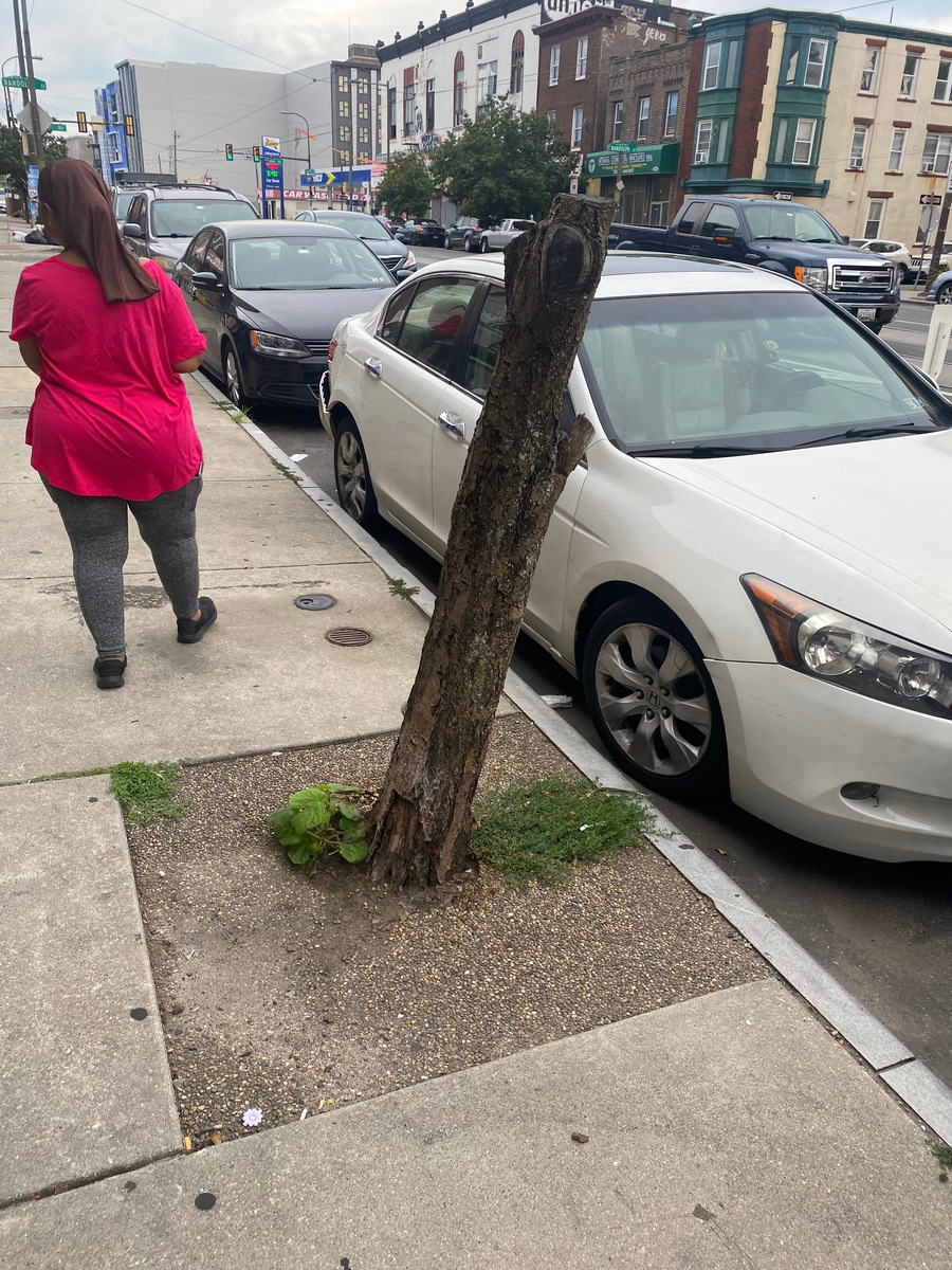 Photographic documentation of the work as submitted to the city's 311 record.