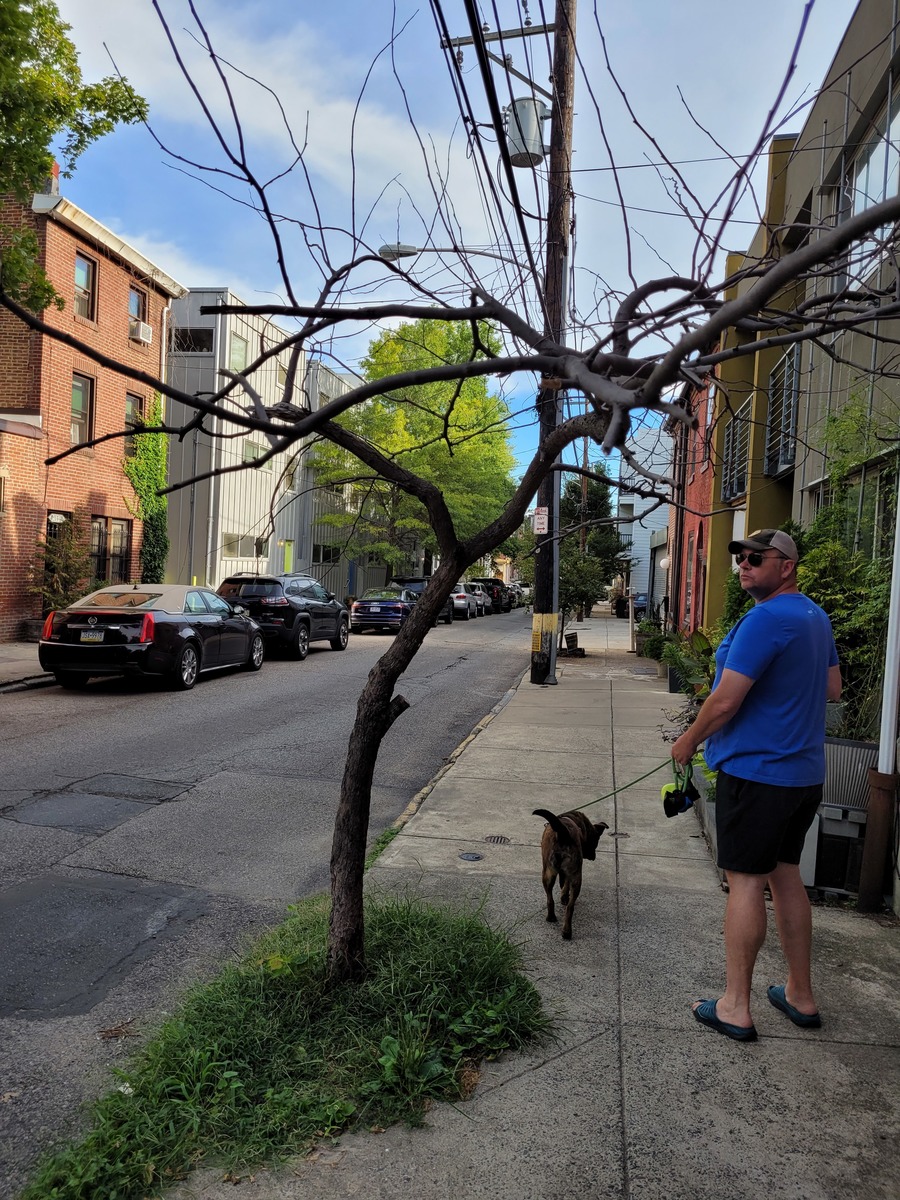 Photographic documentation of the work as submitted to the city's 311 record.