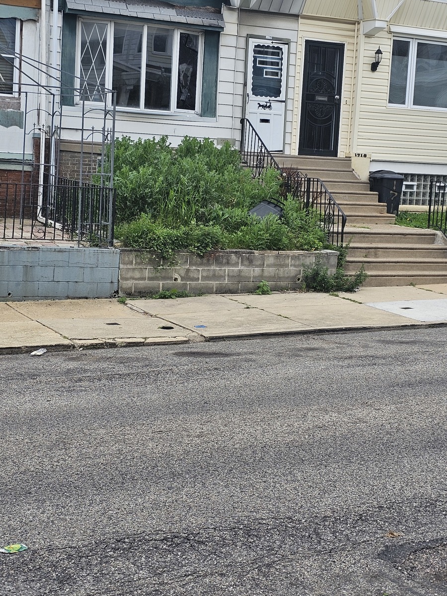 Photographic documentation of the work as submitted to the city's 311 record.