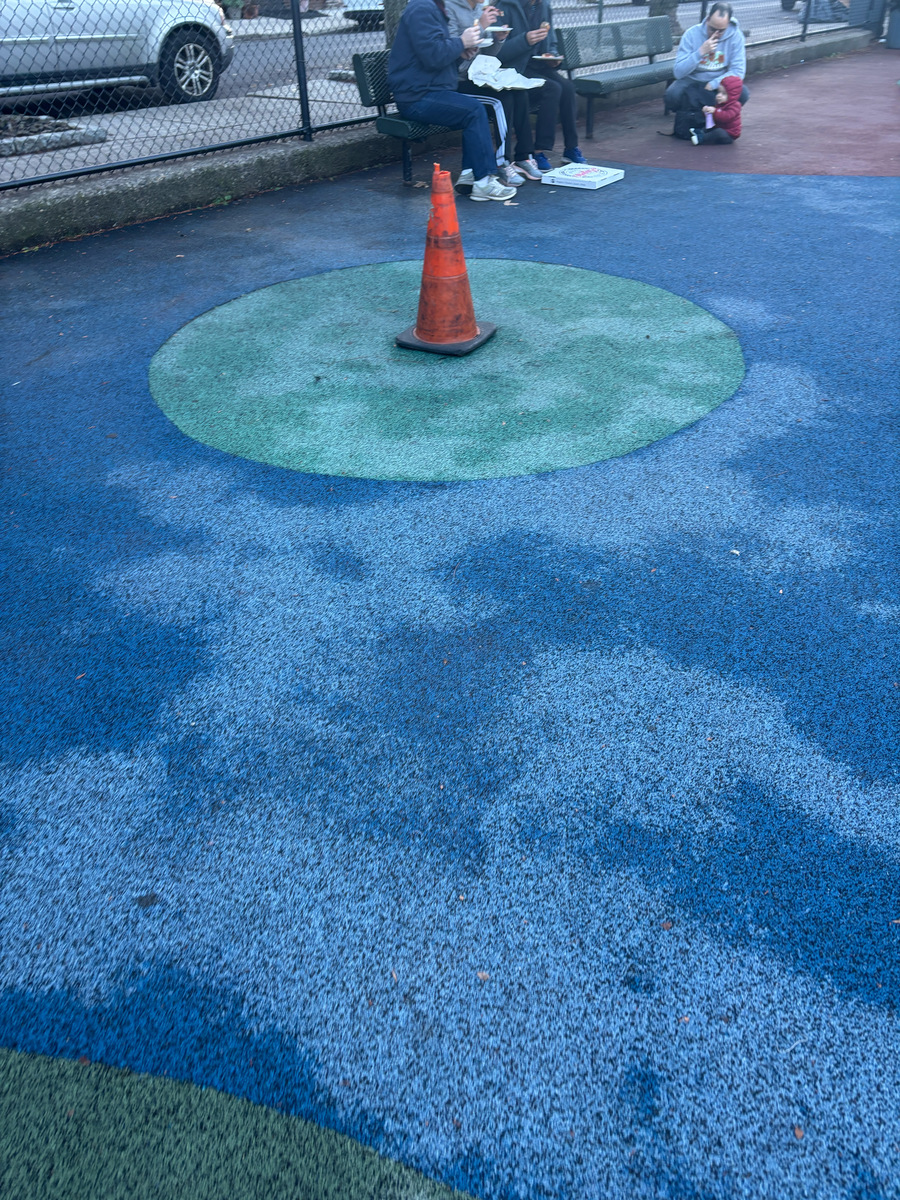 Photographic documentation of the work as submitted to the city's 311 record.
