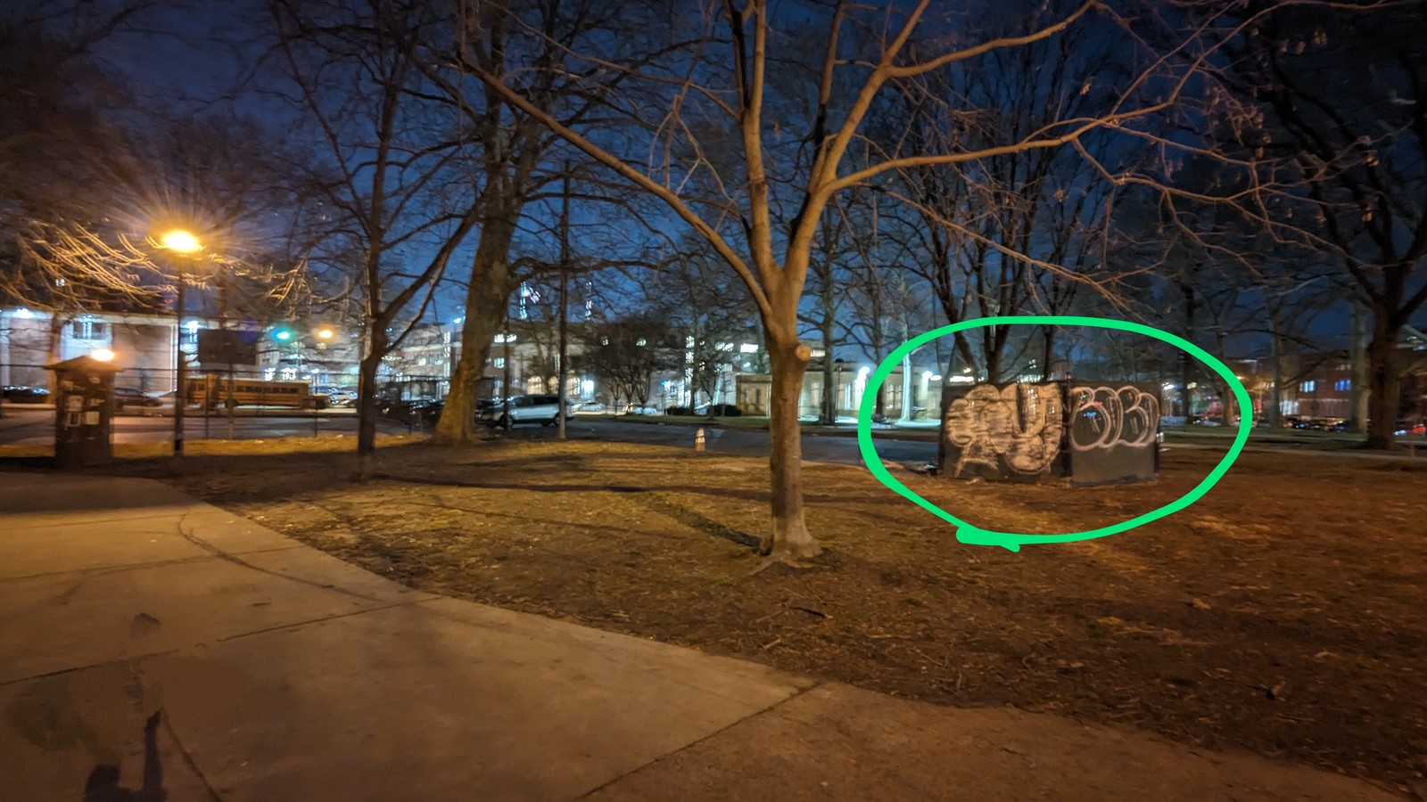 Photographic documentation of the work as submitted to the city's 311 record.