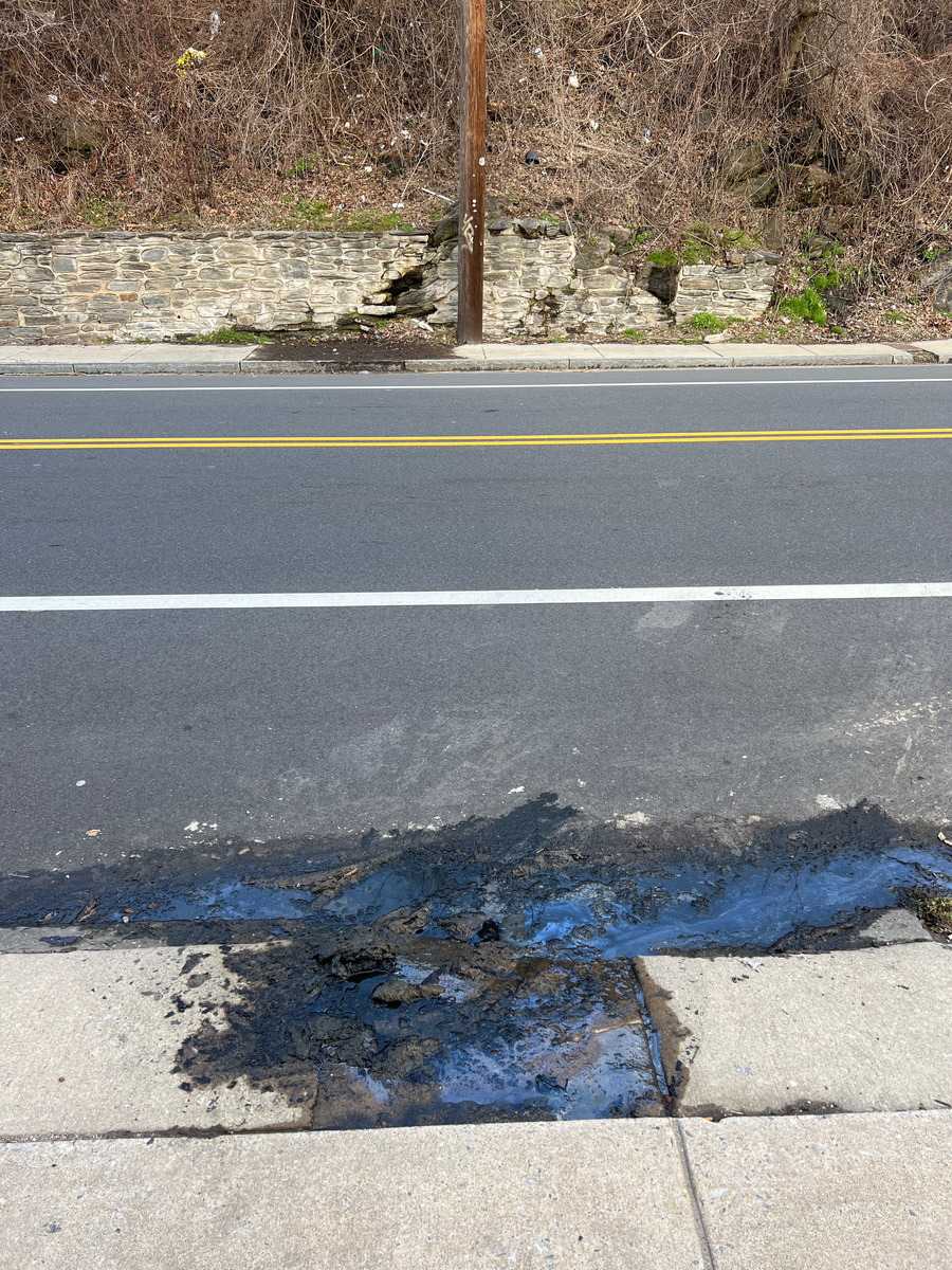 Photographic documentation of the work as submitted to the city's 311 record.