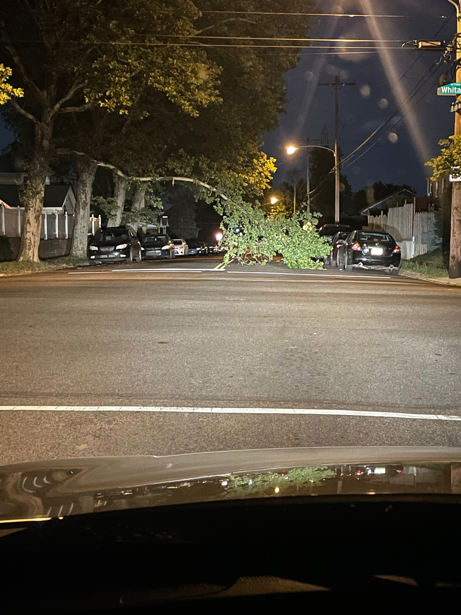 Photographic documentation of the work as submitted to the city's 311 record.