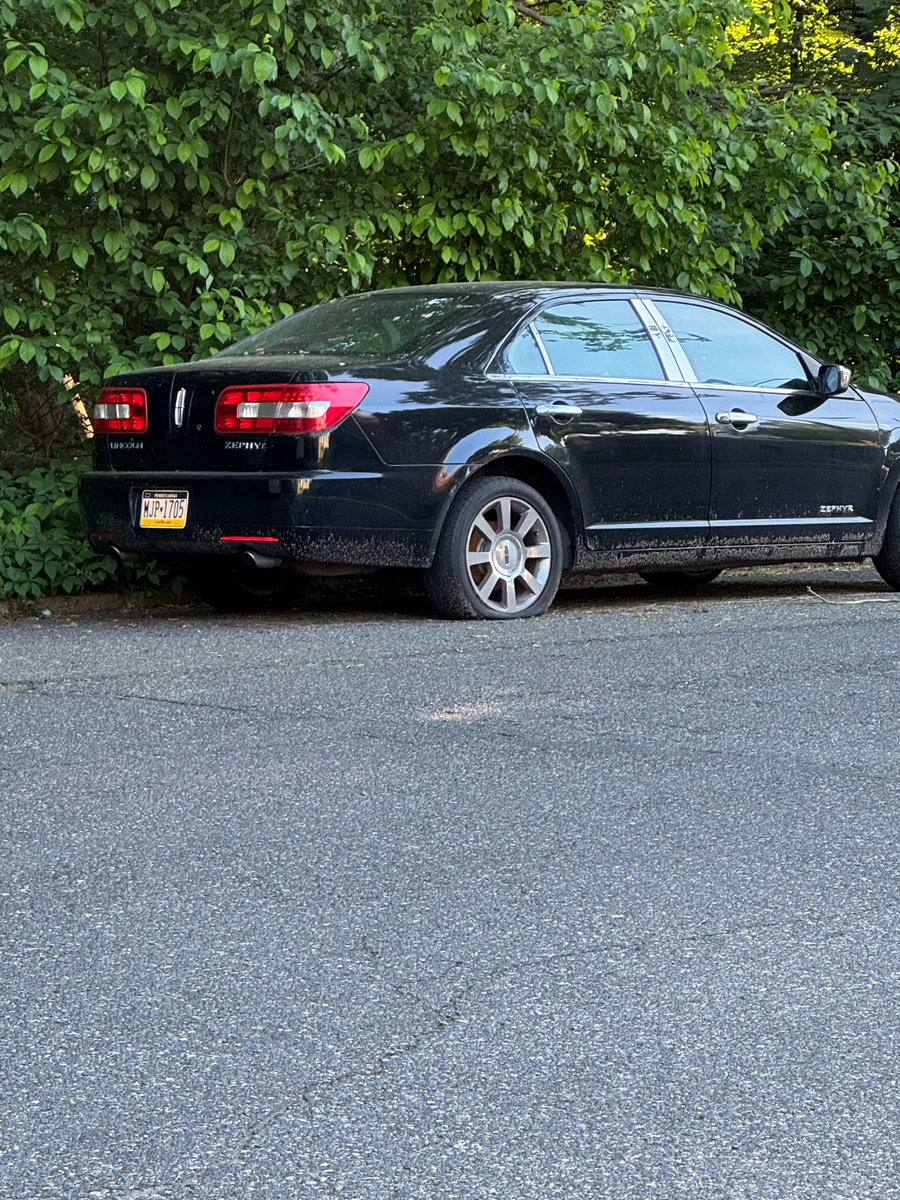 Photographic documentation of the work as submitted to the city's 311 record.
