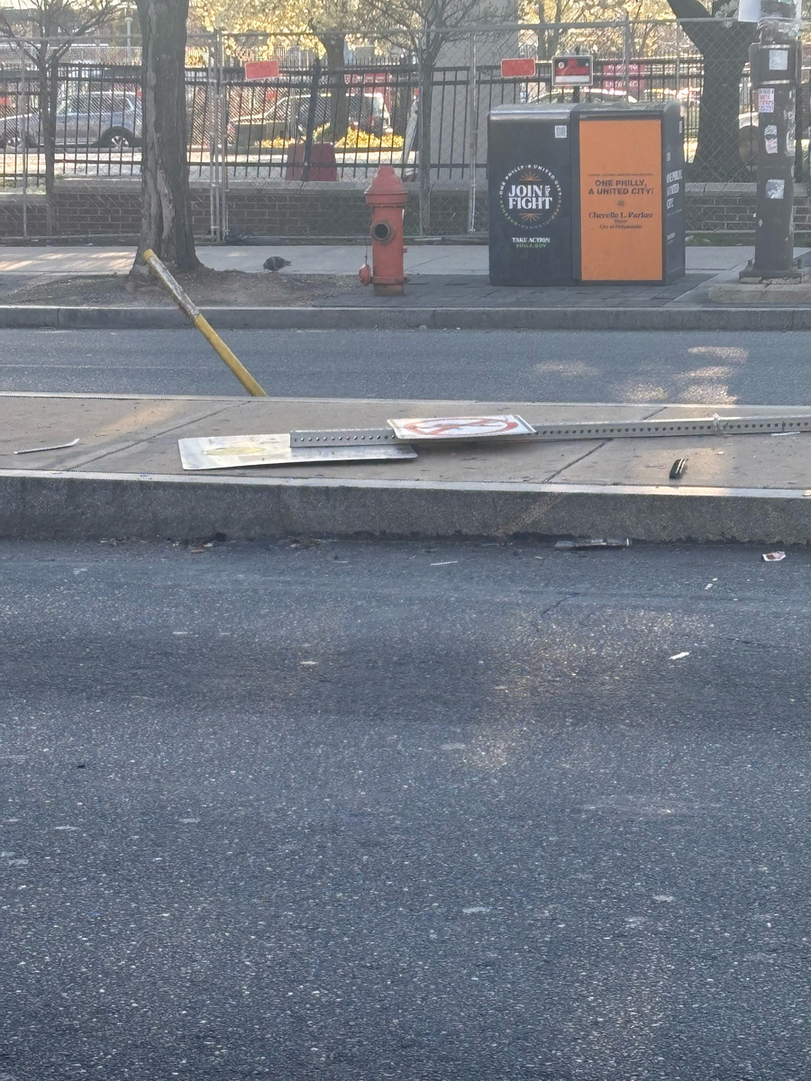 Photographic documentation of the work as submitted to the city's 311 record.