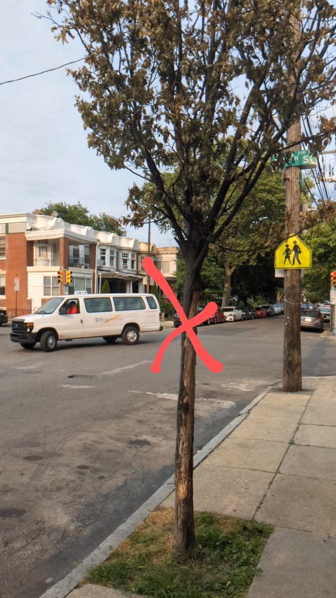 Photographic documentation of the work as submitted to the city's 311 record.