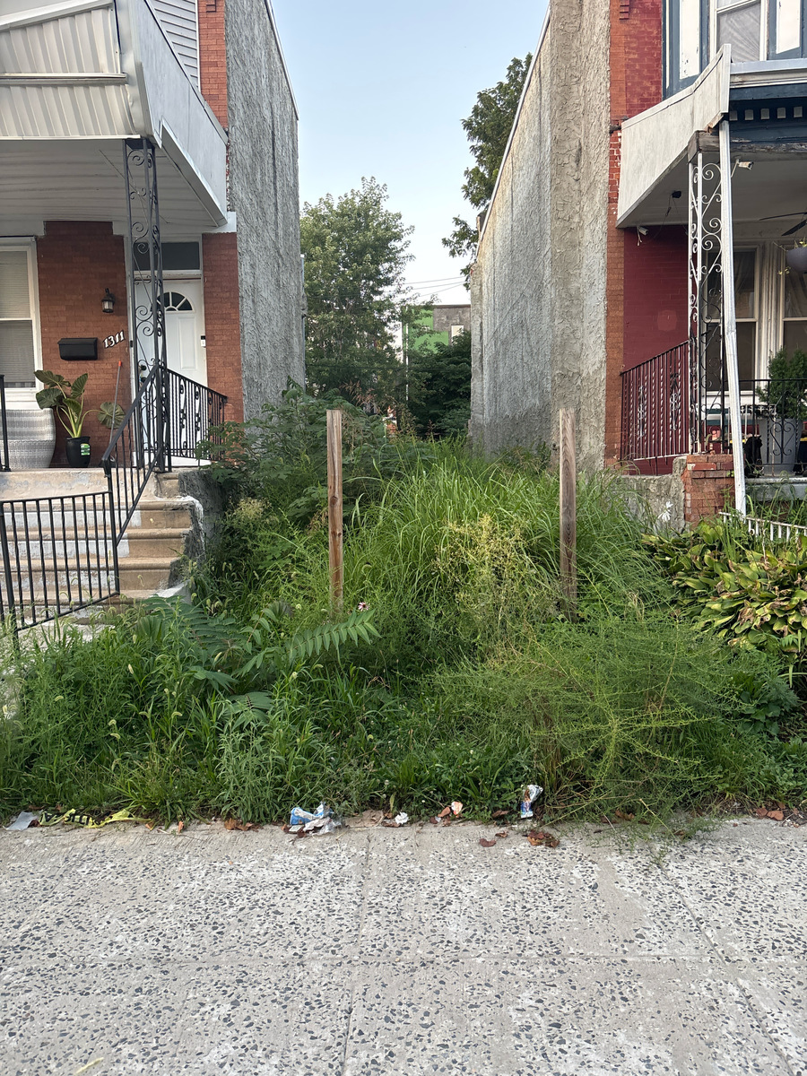 Photographic documentation of the work as submitted to the city's 311 record.
