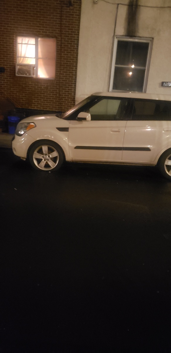 Photographic documentation of the work as submitted to the city's 311 record.