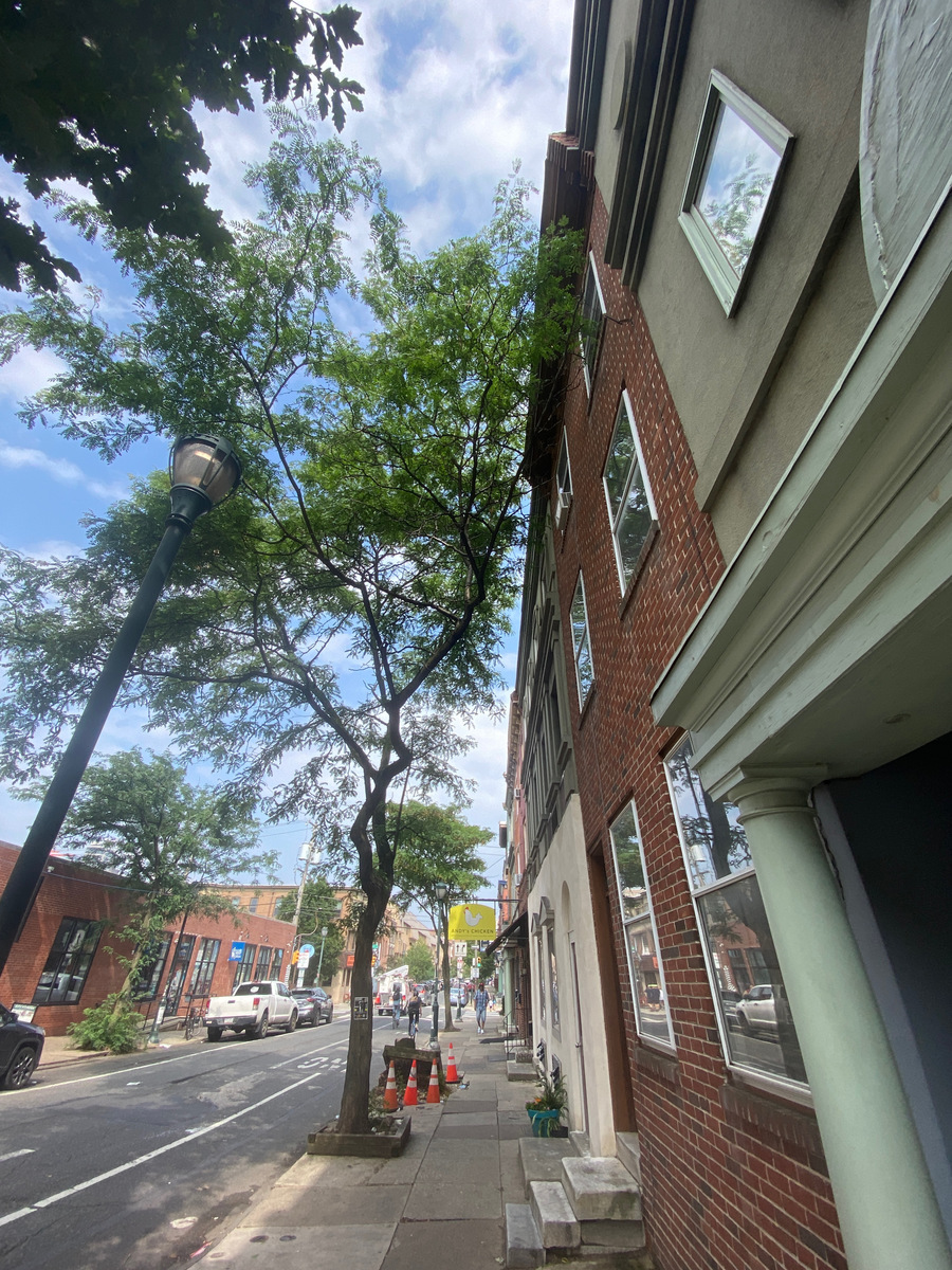 Photographic documentation of the work as submitted to the city's 311 record.