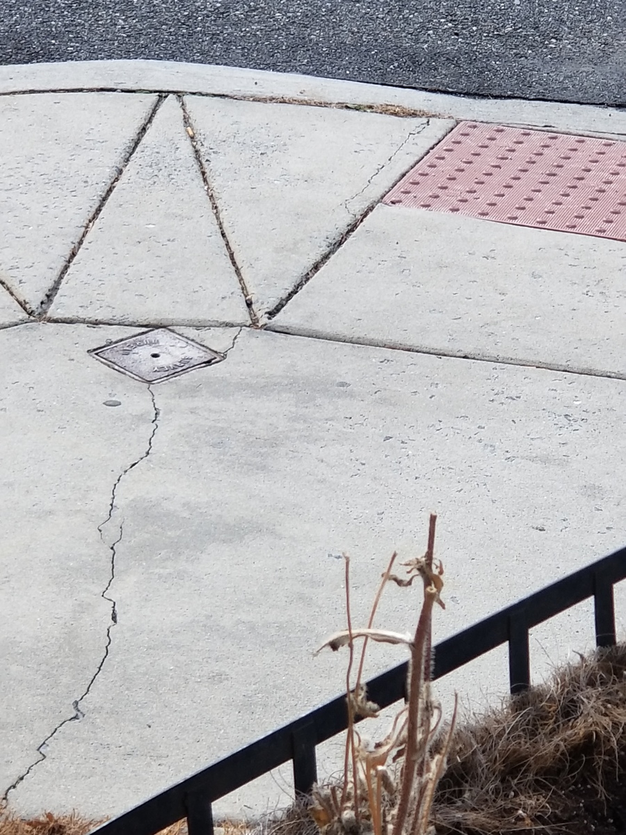Photographic documentation of the work as submitted to the city's 311 record.
