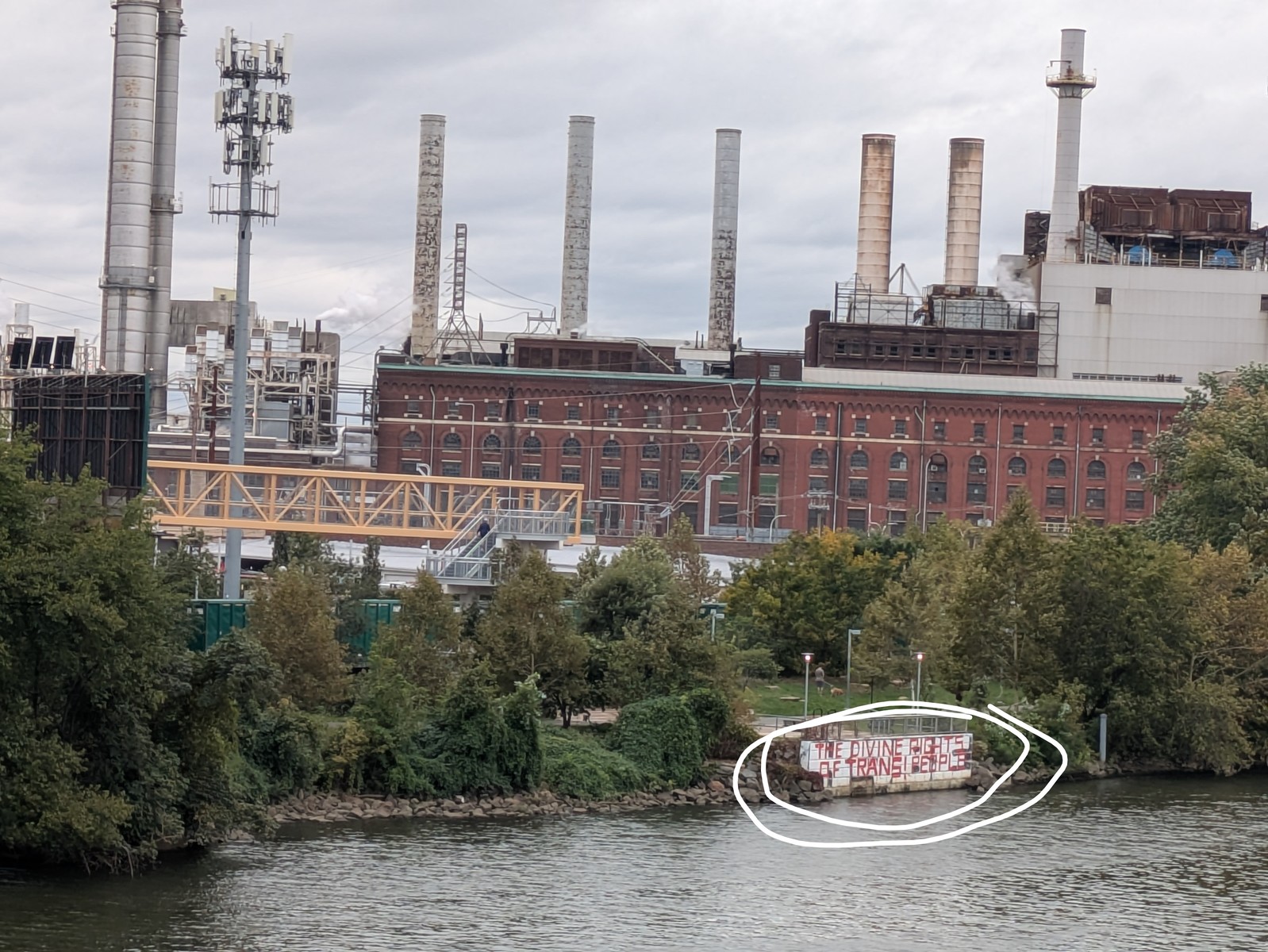 Photographic documentation of the work as submitted to the city's 311 record.