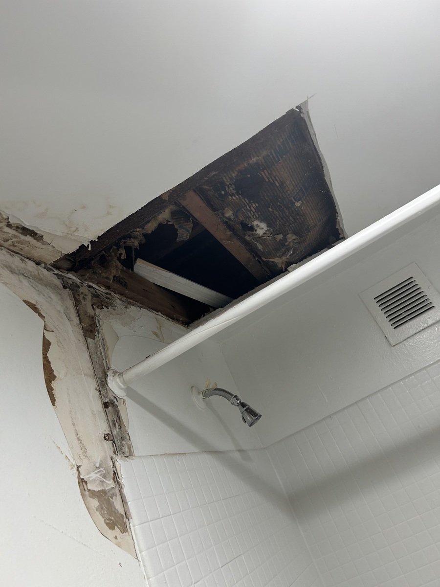 Photographic documentation of the work as submitted to the city's 311 record.