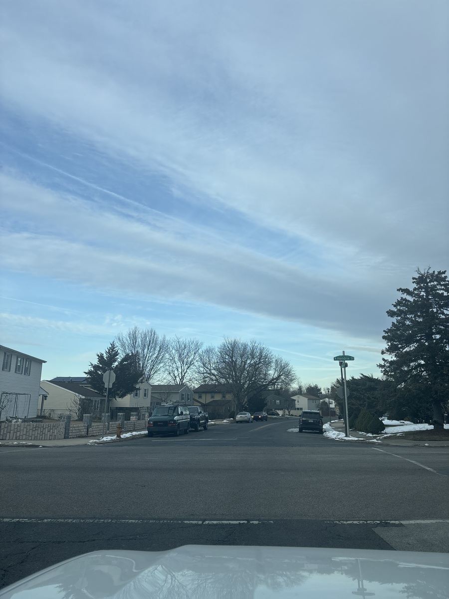 Photographic documentation of the work as submitted to the city's 311 record.