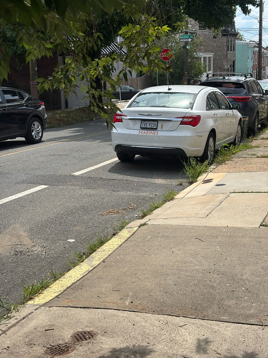 Photographic documentation of the work as submitted to the city's 311 record.