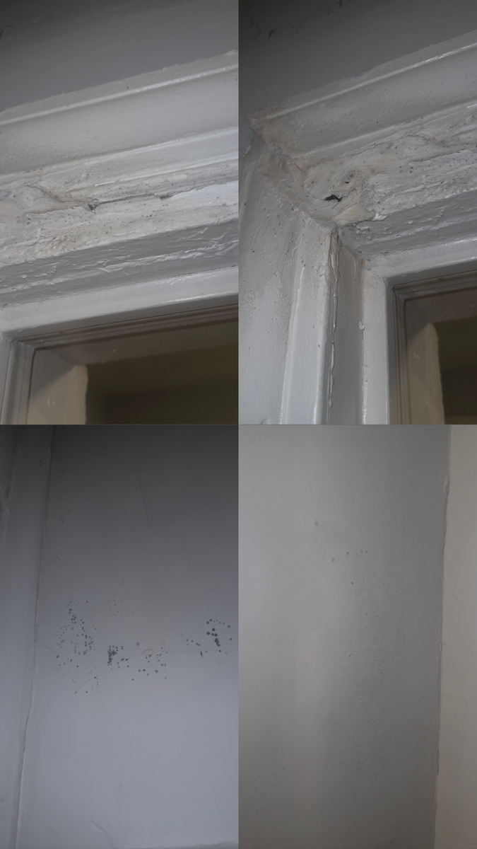Photographic documentation of the work as submitted to the city's 311 record.