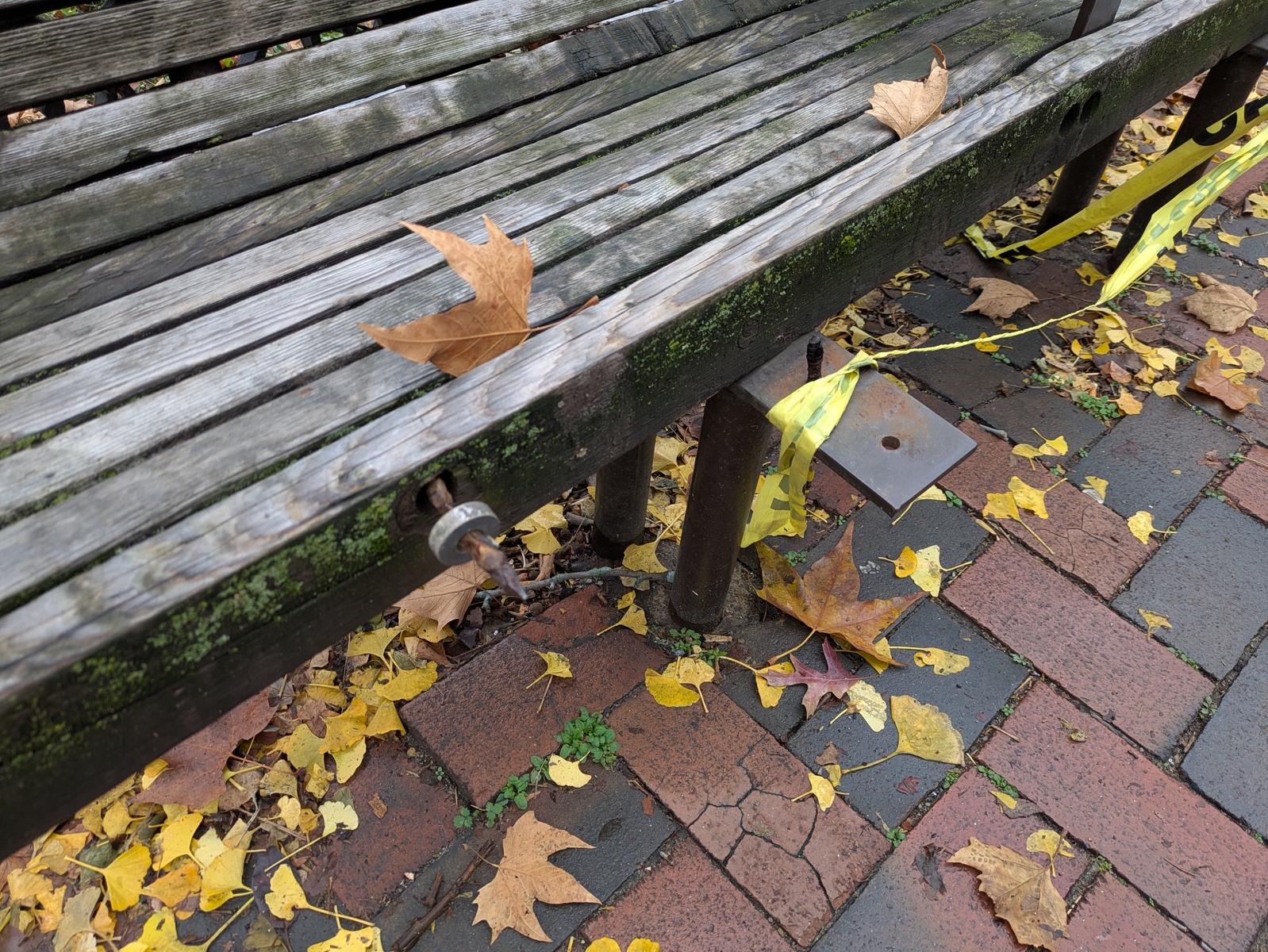 Photographic documentation of the work as submitted to the city's 311 record.