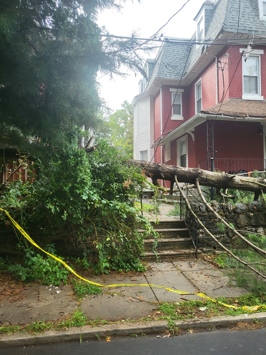 Photographic documentation of the work as submitted to the city's 311 record.