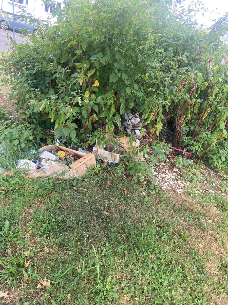 Photographic documentation of the work as submitted to the city's 311 record.