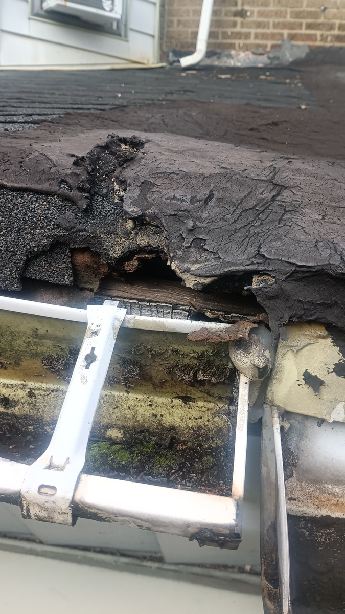 Photographic documentation of the work as submitted to the city's 311 record.
