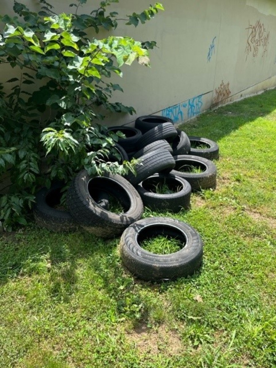 Photographic documentation of the work as submitted to the city's 311 record.