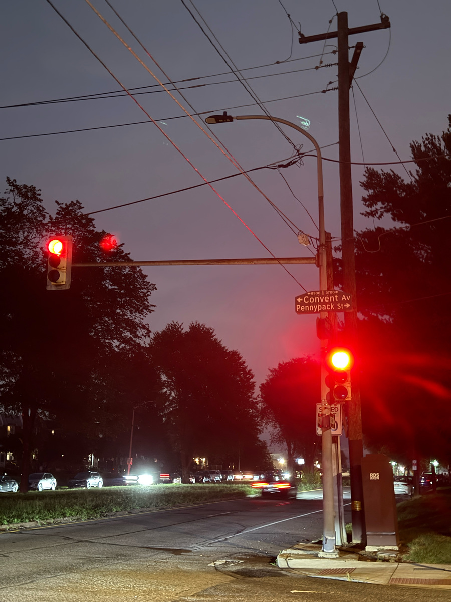 Photographic documentation of the work as submitted to the city's 311 record.