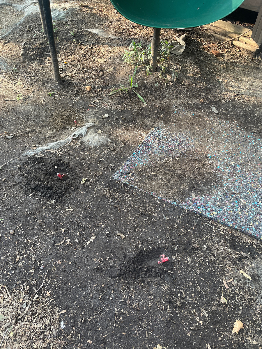 Photographic documentation of the work as submitted to the city's 311 record.
