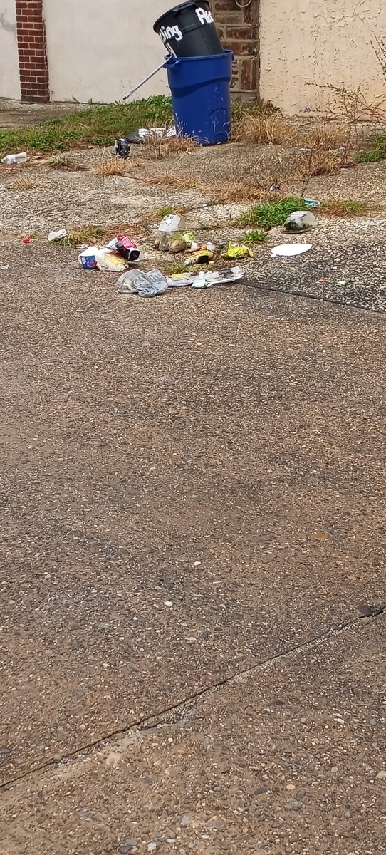 Photographic documentation of the work as submitted to the city's 311 record.