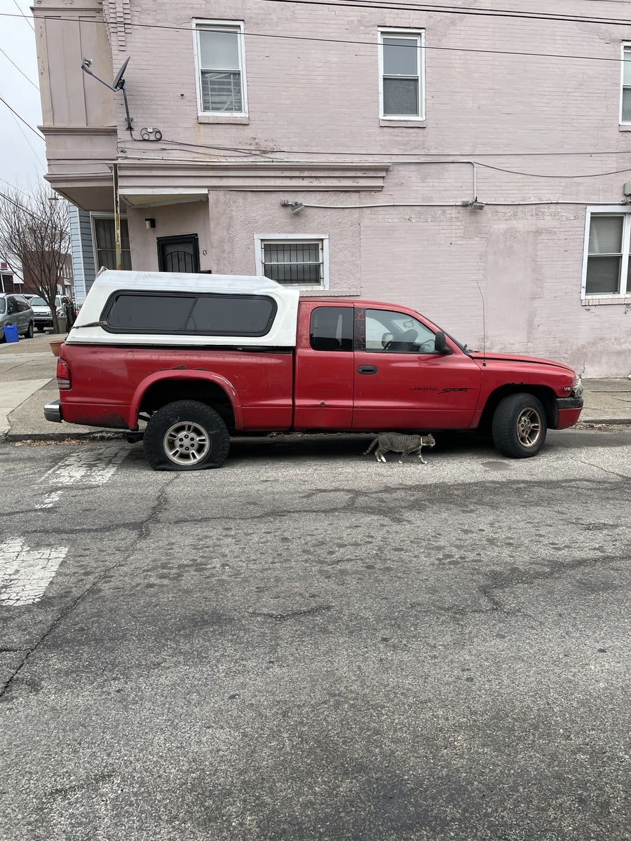 Photographic documentation of the work as submitted to the city's 311 record.
