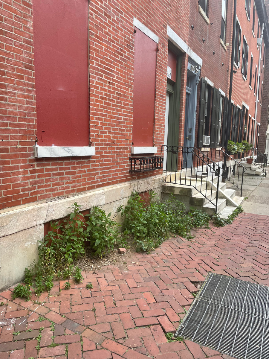 Photographic documentation of the work as submitted to the city's 311 record.