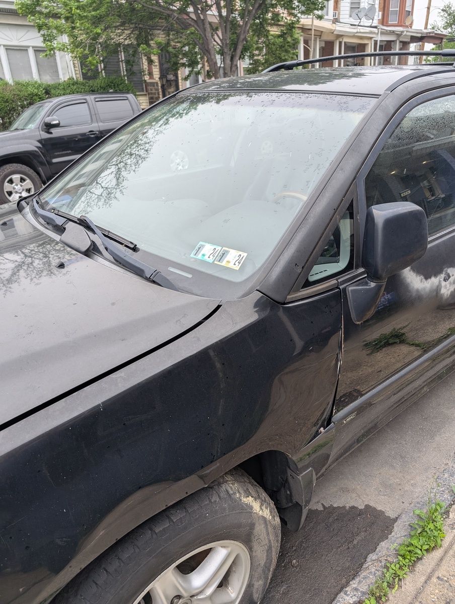 Photographic documentation of the work as submitted to the city's 311 record.